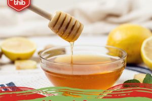 Cara Hilangkan Bekas Jerawat Dengan Rahasia Alami Ini!