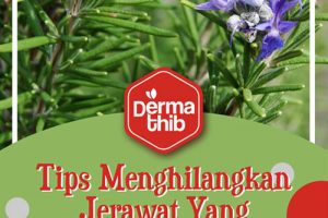 Tips Hilangkan Jerawat Yang Aman Untuk Anda Aplikasikan!
